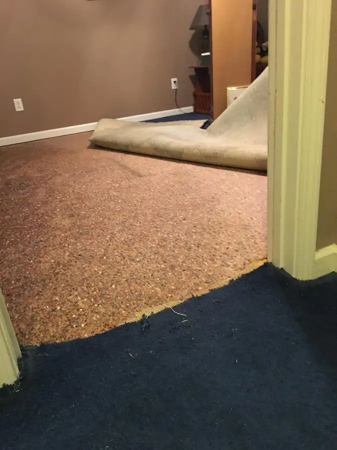 Carpet pad removal revealing water damage during Water Mitigation Services in Braddock